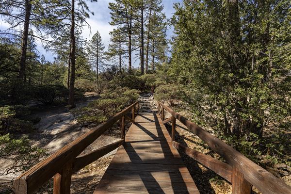 Mount San Jacinto State Park (SP) & Palm Springs Aerial Tramway (1/27/2026 - Credits: Brian Baer)