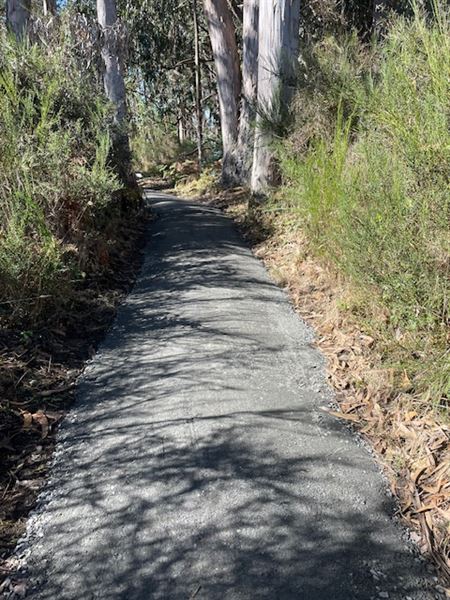 Belinda Point Public Access Trail (3/5/2026 - Credits: Eric Lee Burch)