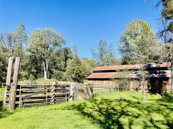 Aukum Ranch (3/20/2026 - Credits: Jon Masters)