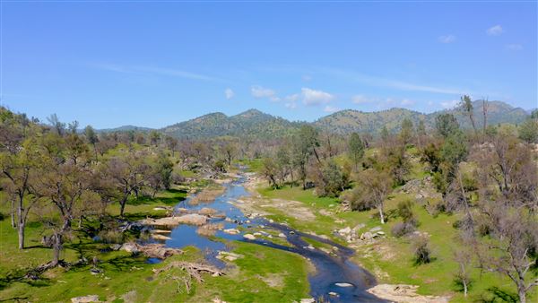 8,600 Acres in Mariposa & Madera County (3/21/2026 - Credits: Nicholas Padilla)