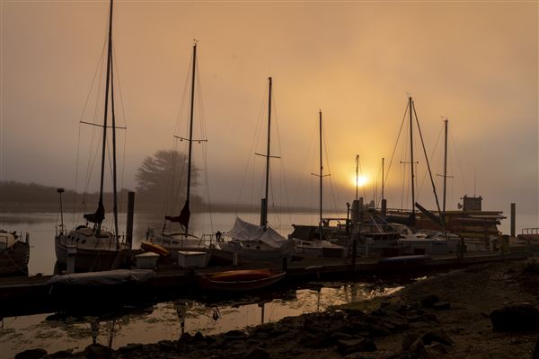 Morro Bay State Park (SP) (12/1/2021 - Credits: Brian Baer)