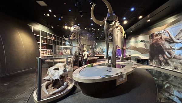 Wester Science Center (3/28/2026 - Credits: Brandy Davis)