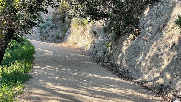 Boy Scout Trail - Griffith Park (3/6/2022 - Credits: Leo Fialho)