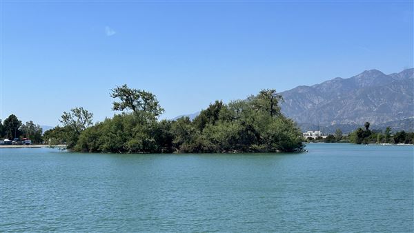Santa Fe Dam Recreational Area - Lake (4/23/2026 - Credits: Brandy Davis)
