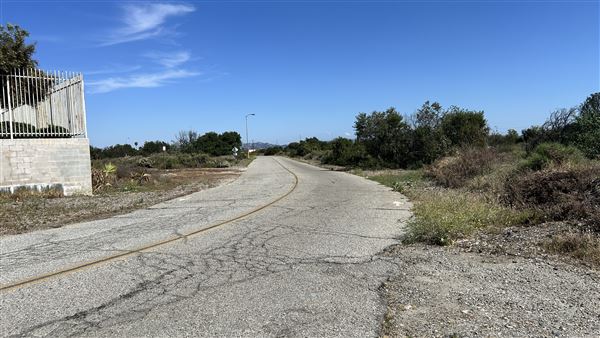 Santa Fe Dam Recreational Area - Road to Nature Center (4/23/2026 - Credits: Brandy Davis)