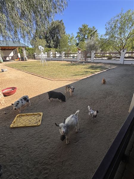 The Rusty Horse Ranch (4/29/2026 - Credits: Levon Baghdasaryan)
