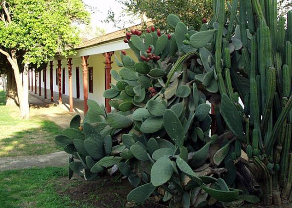 Los Encinos State Historic Park (SHP) adjacent to currently closed Lakeside Restaurant & Lounge (12/31/2003)