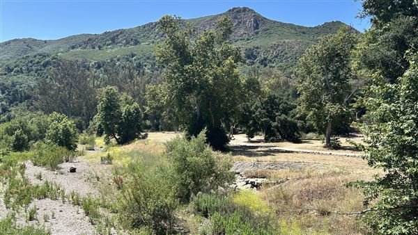 Peter Strauss Ranch - National Park Service (NPS) - View from Sheila Kuehl Bridge (5/8/2026 - Credits: Brandy Davis)
