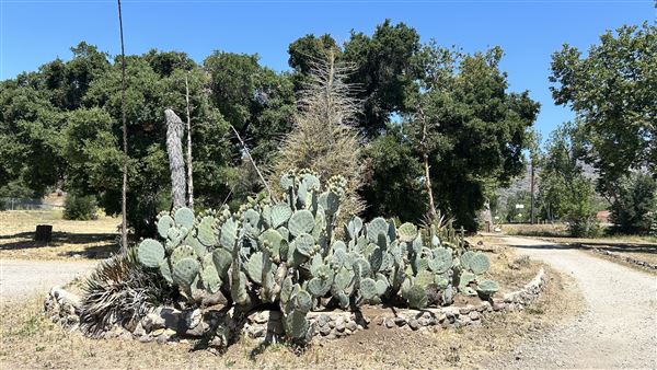 Peter Strauss Ranch - National Park Service (NPS) (5/8/2026 - Credits: Brandy Davis)