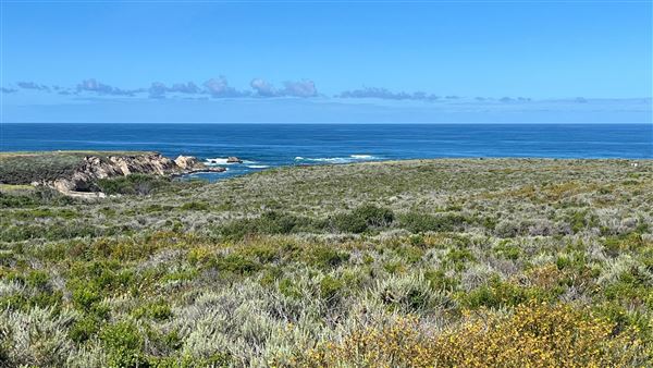 Montana de Oro State Park (SP) (4/22/2026 - Credits: Leo Fialho)