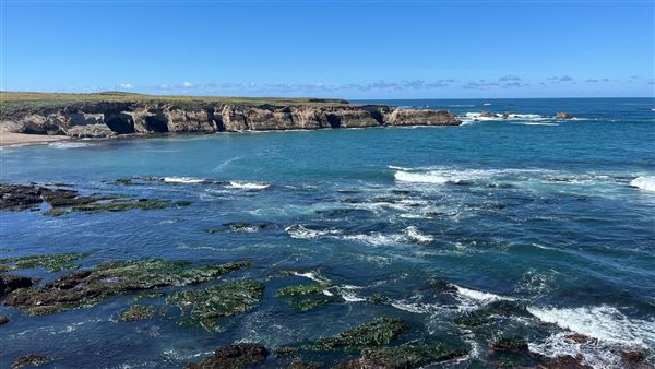 Montana de Oro State Park (SP) (4/22/2026 - Credits: Leo Fialho)