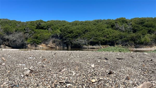 Montana de Oro State Park (SP) (4/22/2026 - Credits: Leo Fialho)