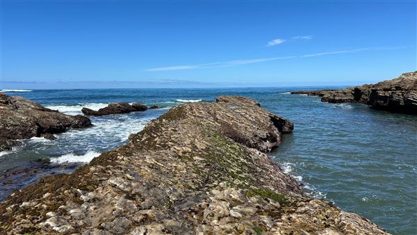 Montana de Oro State Park (SP) (4/22/2026 - Credits: Leo Fialho)