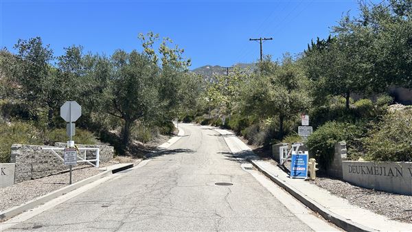 Deukmejian Wilderness Park (7/6/2026 - Credits: Brandy Davis)