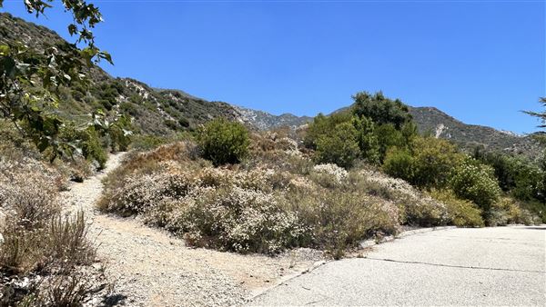 Deukmejian Wilderness Park (7/6/2026 - Credits: Brandy Davis)