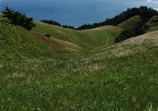 Mount Tamalpais State Park (SP) (12/31/2003)