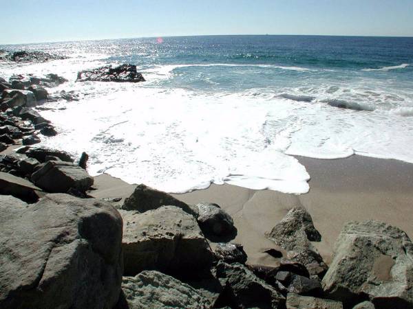 Point Mugu State Park (SP) - CFC (12/31/2003)