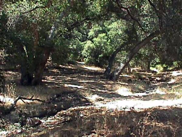 Paramount Ranch - National Park Service (NPS) (12/31/2003)