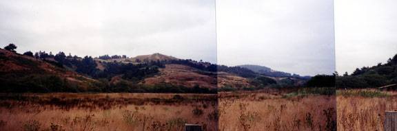 Pomo Canyon (Sonoma Coast State Park) (12/31/2003)