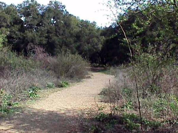 Rocky Oaks - National Park Service (NPS) (12/31/2003)