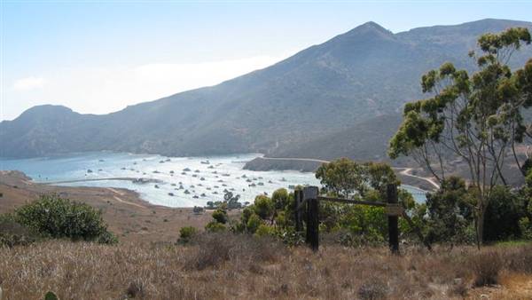 Catalina Island, Avalon Bay (7/27/2010 - Credits: Kent Matsuoka)
