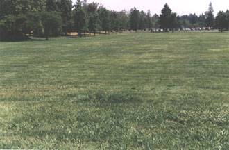 Vasona Lake County Park (12/31/2003)