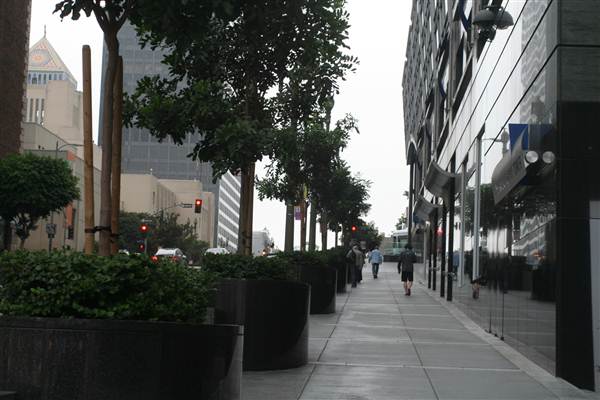 5th St. between Grand Ave. & Olive St. (9/1/2010 - Credits: Lindsay Mizrahi)