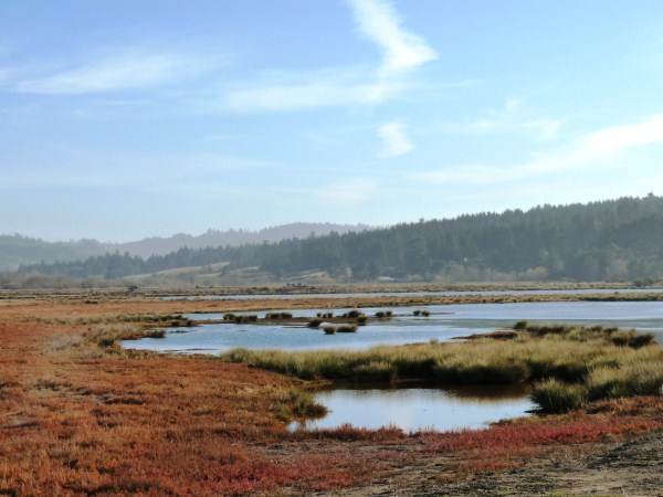 Humboldt Bay National Wildlife Refuge - Humboldt Bay Salmon Creek (4/25/2011)