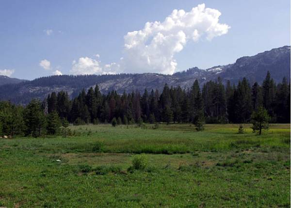 Washoe Meadows State Park (SP) (12/31/2003)