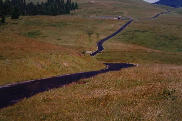 Bear River Ridge Road - Off HWY 101 (3/5/2008)