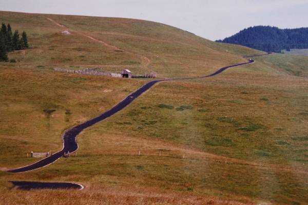 Bear River Ridge Road - Off HWY 101 (3/5/2008)