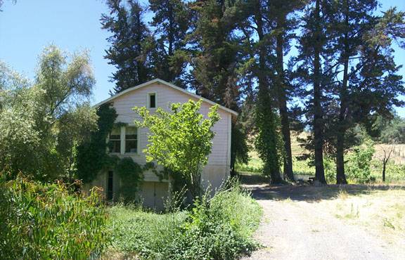 Blue Rock Vineyard (12/31/2003)