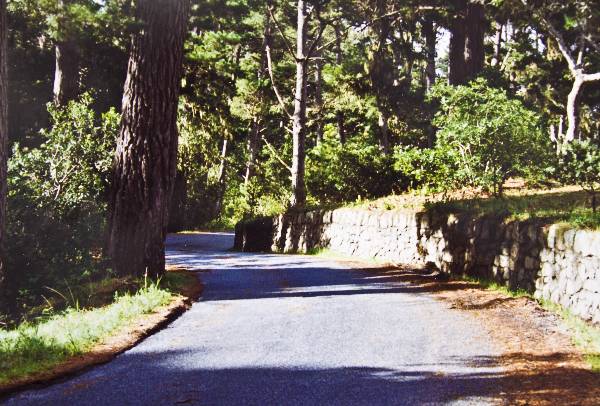 Fern Canyon Road (3/17/2008)