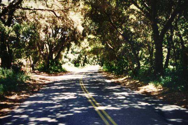 Huasna Road (3/17/2008)
