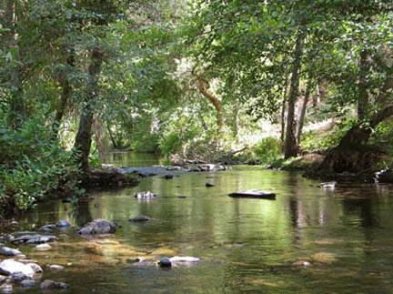 Hidden Falls Regional Park (9/11/2008)