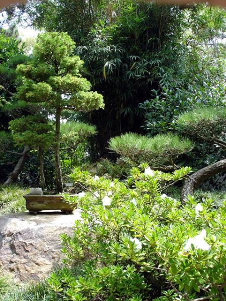 Earl Burns Miller Japanese Garden - California State University Long Beach - CSULB (9/11/2008)