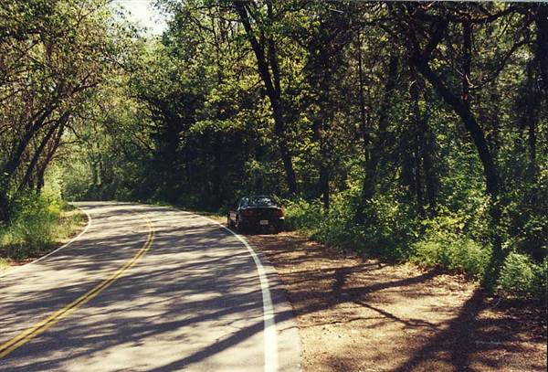 Gilman Road (9/6/2012)