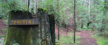 Mendocino Woodlands State Park (SP) (1/6/2009)