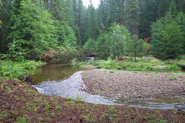 Johnson's Meadow - More Info ? Visit www.filmyosemite,com or call 559.760.1143 (2/5/2009 - Credits: Dave Wolin)