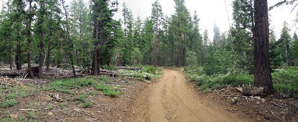 Burton Creek State Park (SP) (12/31/2003)