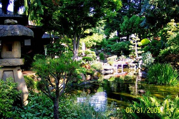 Japanese Tea Garden - San Mateo Central Park & Recreation Center (6/24/2013)