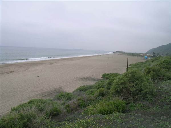 Point Mugu State Park (SP) - CFC (10/29/2013 - Credits: David Golden)