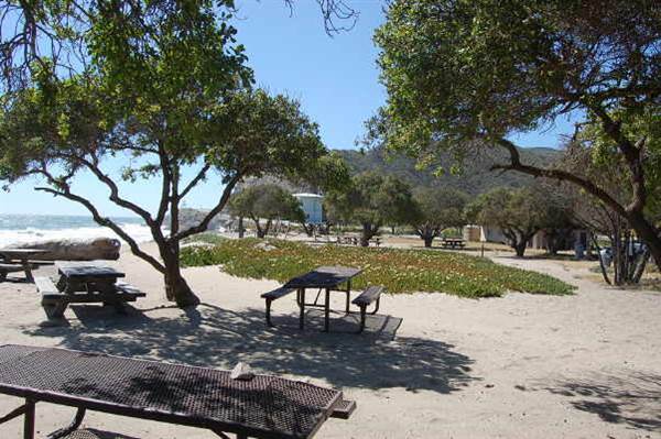 Sycamore Cove State Beach (SB) & Campground @ Point Mugu State Park (SP) - CFC (10/29/2013 - Credits: David Golden)