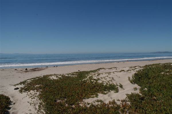Carpinteria State Beach (SB) (11/4/2013 - Credits: David Golden)