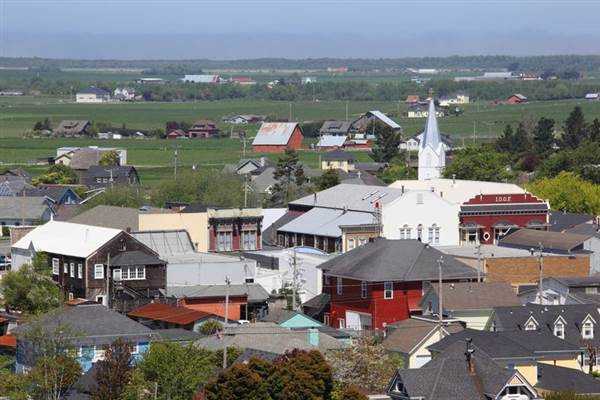 Ferndale, The Victorian Village (1/20/2014)