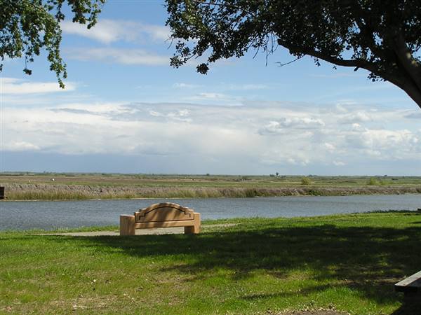 Brannan Island State Recreation Area (SRA) (1/14/2016 - Credits: http://www.parks.ca.gov/ImageGallery/?page_id=487)