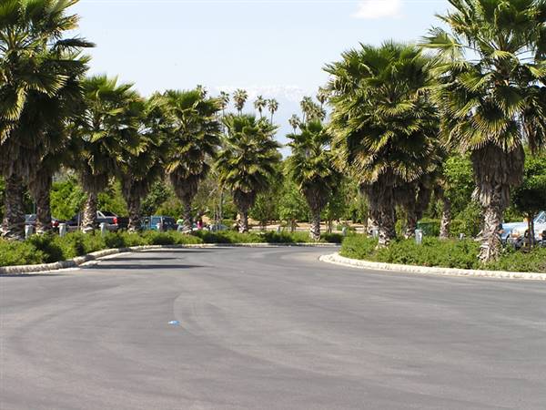 California Citrus State Historic Park (SHP) (1/14/2016 - Credits: http://www.parks.ca.gov/ImageGallery/?page_id=649)