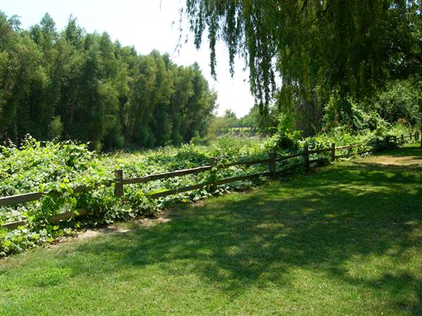 Colusa-Sacramento River State Recreation Area (SRA) (1/15/2016 - Credits: http://www.parks.ca.gov/?page_id=461)