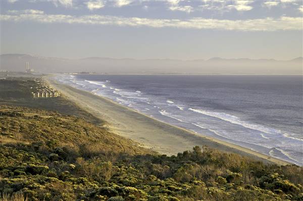 Sunset State Beach (SB) (2/29/2016)