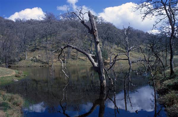 Henry W. Coe State Park (SP) (3/1/2016)